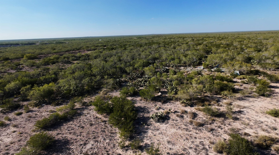 ABST 2360 SUR 54, Laredo, Texas 78043, ,Land,For Sale,ABST 2360 SUR 54,20254815