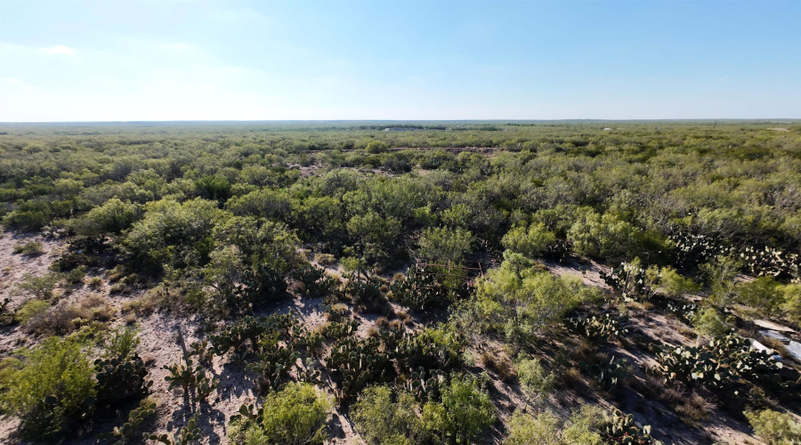 ABST 2360 SUR 54, Laredo, Texas 78043, ,Land,For Sale,ABST 2360 SUR 54,20254815