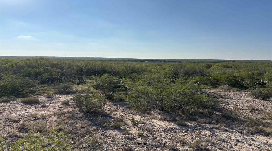ABST 2360 SUR 54, Laredo, Texas 78043, ,Land,For Sale,ABST 2360 SUR 54,20254815