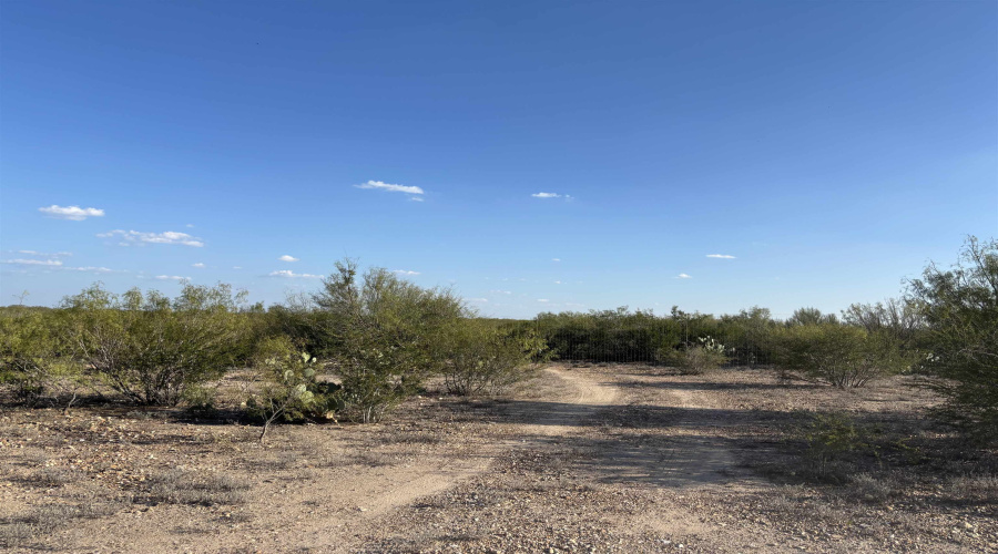 ABST 2360 SUR 54, Laredo, Texas 78043, ,Land,For Sale,ABST 2360 SUR 54,20254815