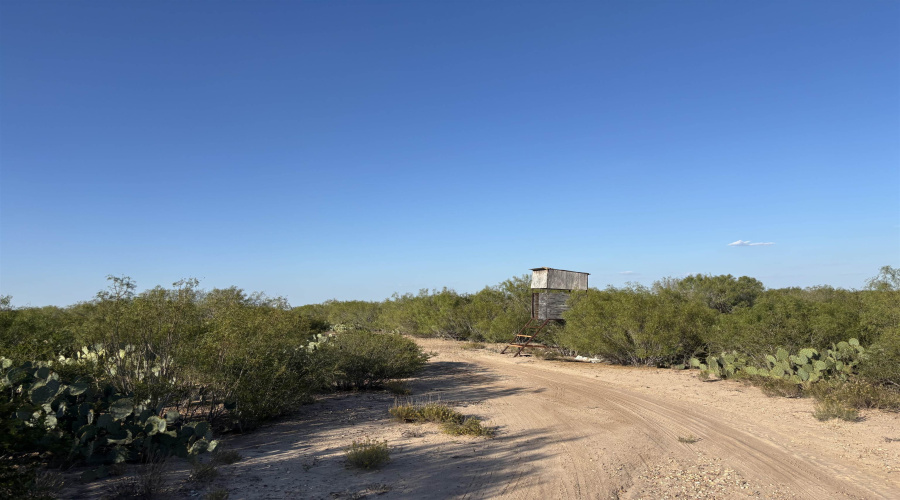 ABST 2360 SUR 54, Laredo, Texas 78043, ,Land,For Sale,ABST 2360 SUR 54,20254815