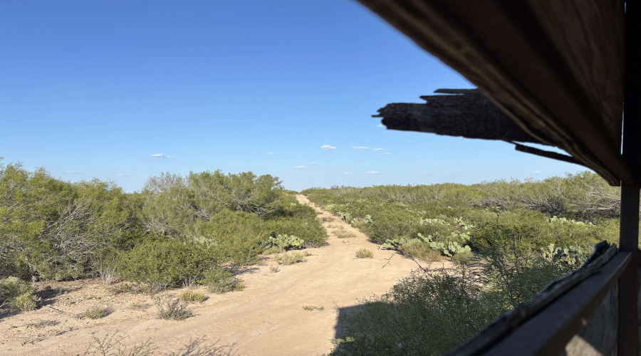 ABST 2360 SUR 54, Laredo, Texas 78043, ,Land,For Sale,ABST 2360 SUR 54,20254815