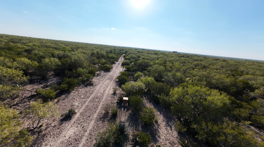 ABST 2360 SUR 54, Laredo, Texas 78043, ,Land,For Sale,ABST 2360 SUR 54,20254815