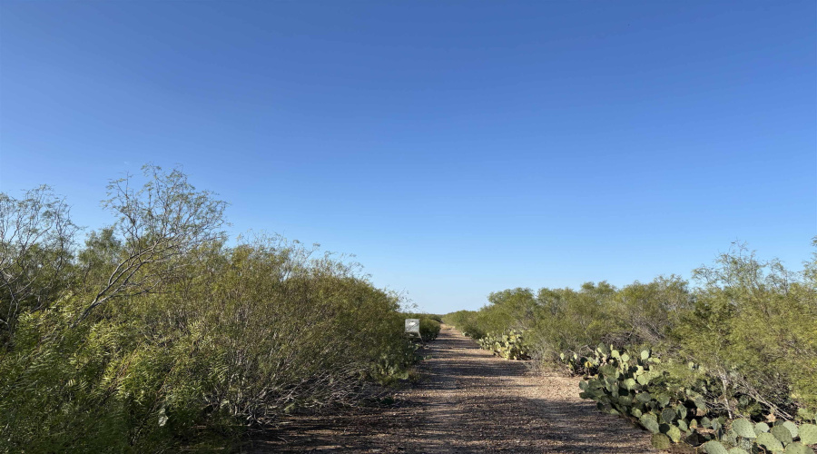 ABST 2360 SUR 54, Laredo, Texas 78043, ,Land,For Sale,ABST 2360 SUR 54,20254815