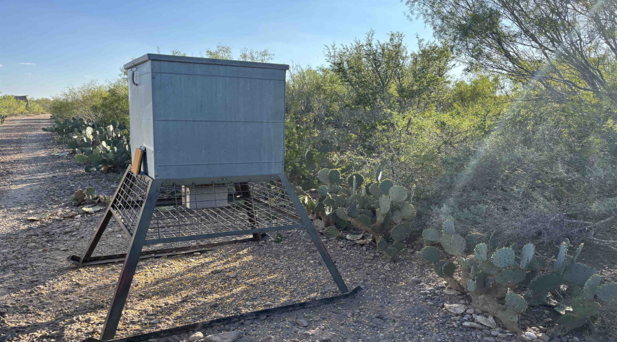 ABST 2360 SUR 54, Laredo, Texas 78043, ,Land,For Sale,ABST 2360 SUR 54,20254815