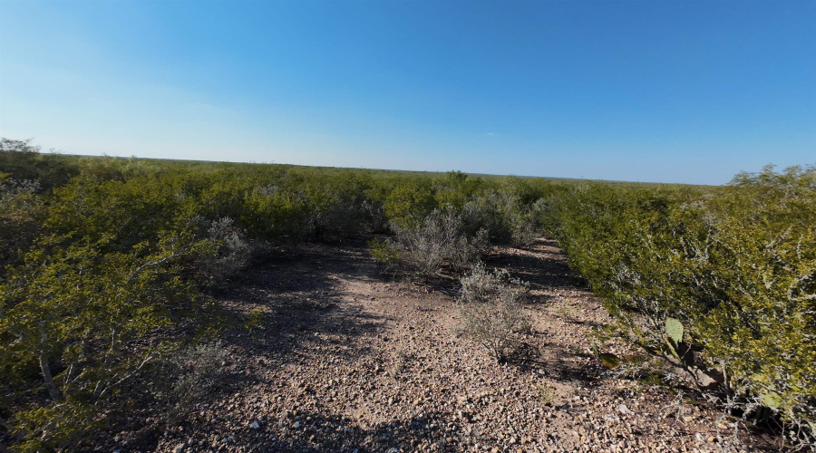 ABST 2360 SUR 54, Laredo, Texas 78043, ,Land,For Sale,ABST 2360 SUR 54,20254815