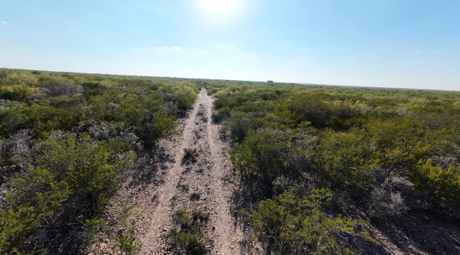 ABST 2360 SUR 54, Laredo, Texas 78043, ,Land,For Sale,ABST 2360 SUR 54,20254815