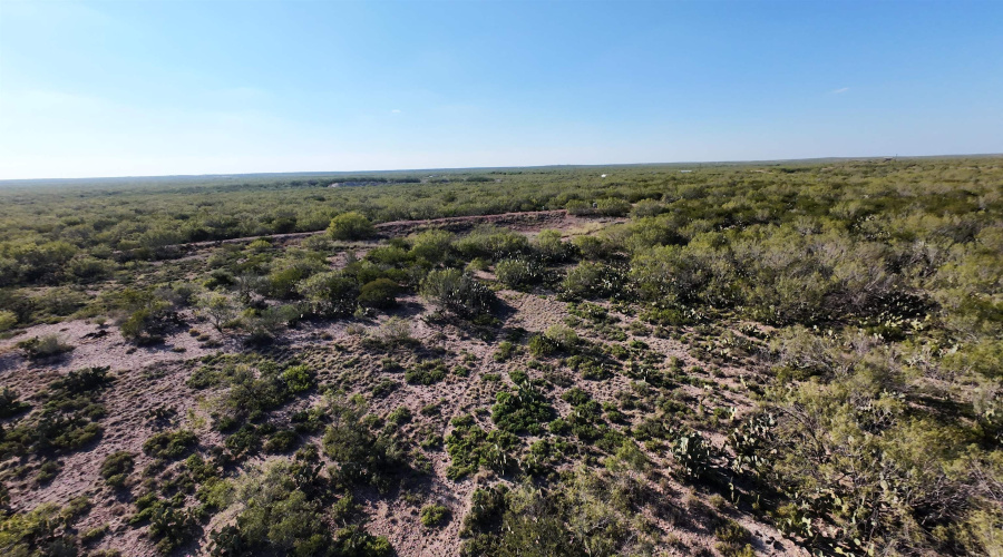 ABST 2360 SUR 54, Laredo, Texas 78043, ,Land,For Sale,ABST 2360 SUR 54,20254815