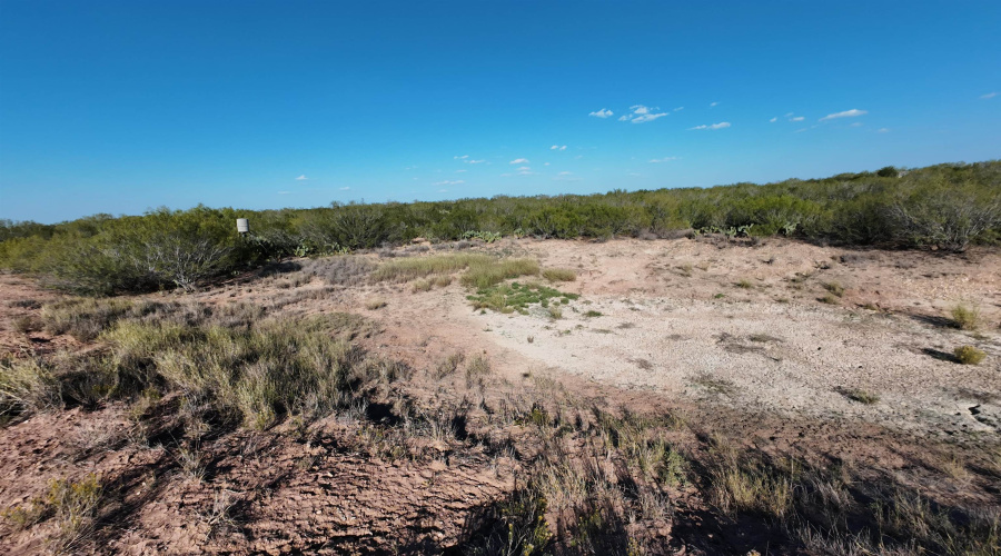 ABST 2360 SUR 54, Laredo, Texas 78043, ,Land,For Sale,ABST 2360 SUR 54,20254815