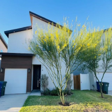 214 Deer Path Loop, Laredo, Texas 78045, 4 Bedrooms Bedrooms, 7 Rooms Rooms,2 BathroomsBathrooms,Residential,For Rent,214 Deer Path Loop,20254816