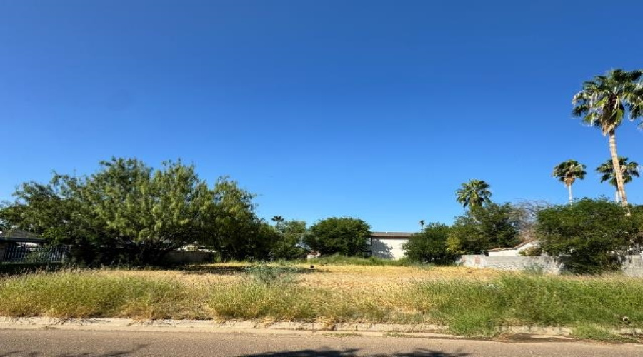 308 Santander Dr, laredo, Texas 78046, ,Land,For Sale,308 Santander Dr,20254819