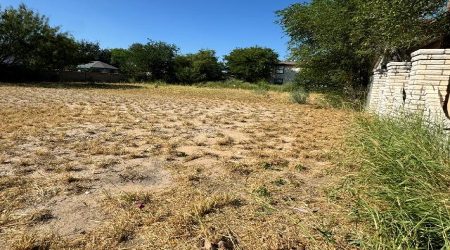 310 Santander Dr, Laredo, Texas 78046, ,Land,For Sale,310 Santander Dr,20254820