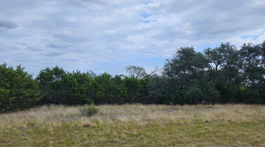 1198 Brads Flight, Canyon Lake, Texas 78133, ,Land,For Sale,1198 Brads Flight,20254842