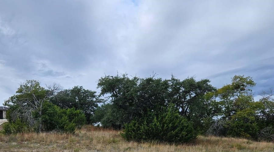 1198 Brads Flight, Canyon Lake, Texas 78133, ,Land,For Sale,1198 Brads Flight,20254842