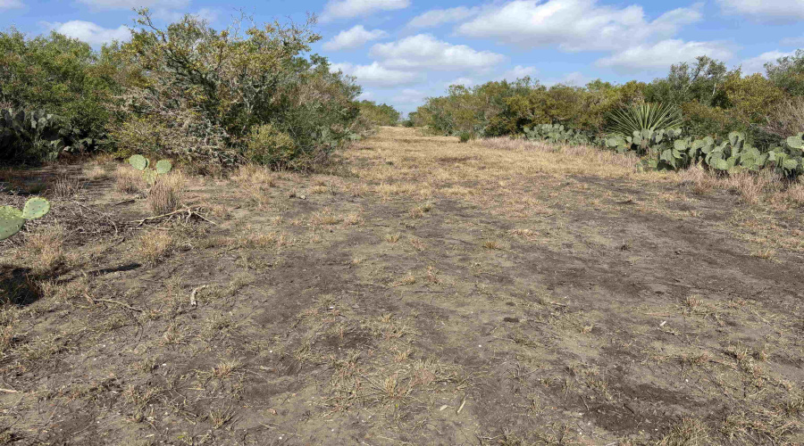 FM 889, George West, Texas 78022, ,Land,For Sale,FM 889,20254845