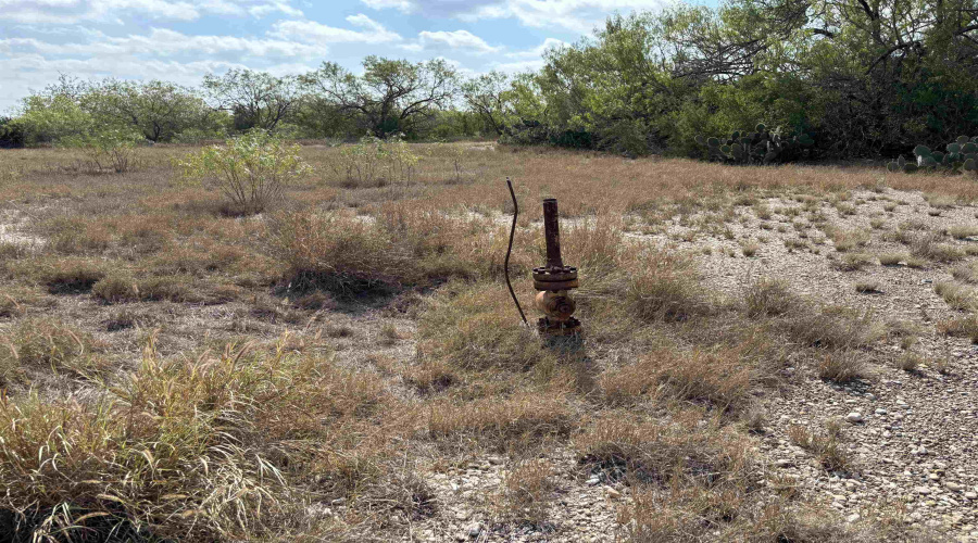 FM 889, George West, Texas 78022, ,Land,For Sale,FM 889,20254845