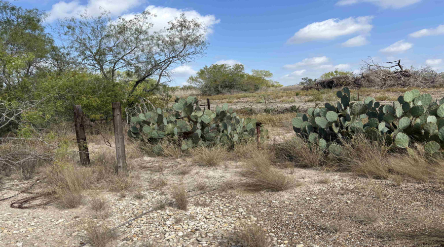 FM 889, George West, Texas 78022, ,Land,For Sale,FM 889,20254845