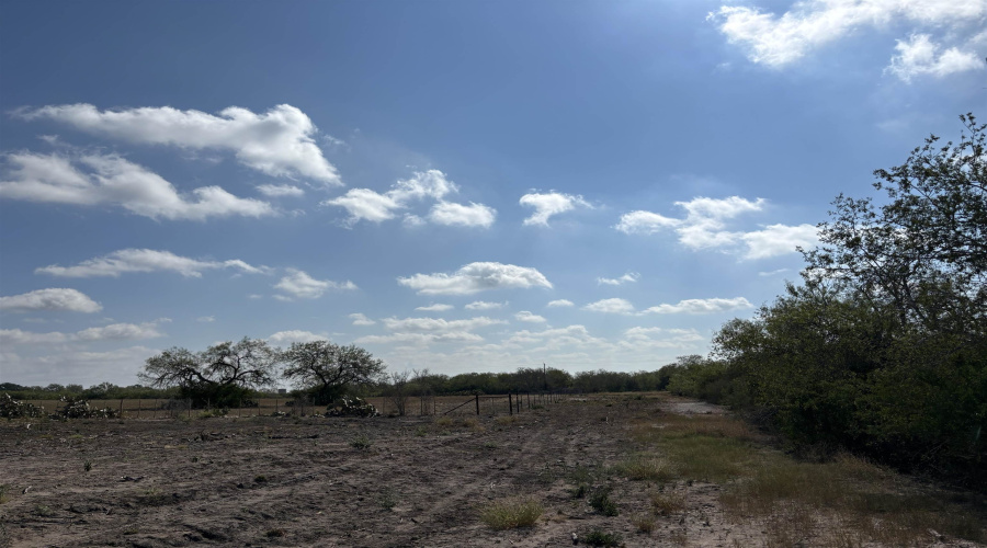 FM 889, George West, Texas 78022, ,Land,For Sale,FM 889,20254845