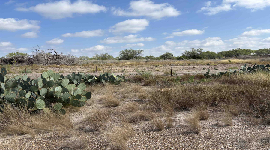 FM 889, George West, Texas 78022, ,Land,For Sale,FM 889,20254845