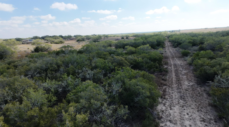 FM 889, George West, Texas 78022, ,Land,For Sale,FM 889,20254845