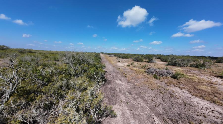 FM 889, George West, Texas 78022, ,Land,For Sale,FM 889,20254845