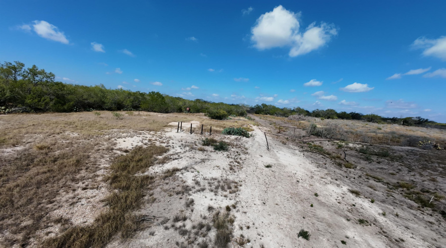 FM 889, George West, Texas 78022, ,Land,For Sale,FM 889,20254845
