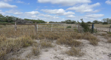 FM 889, George West, Texas 78022, ,Land,For Sale,FM 889,20254845