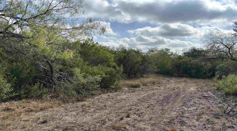 FM 889, George West, Texas 78022, ,Land,For Sale,FM 889,20254845