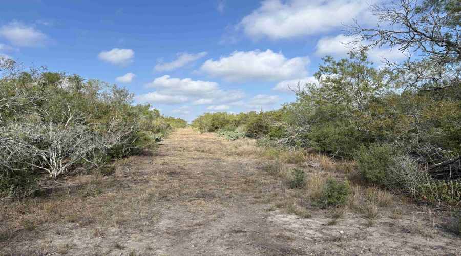 FM 889, George West, Texas 78022, ,Land,For Sale,FM 889,20254845