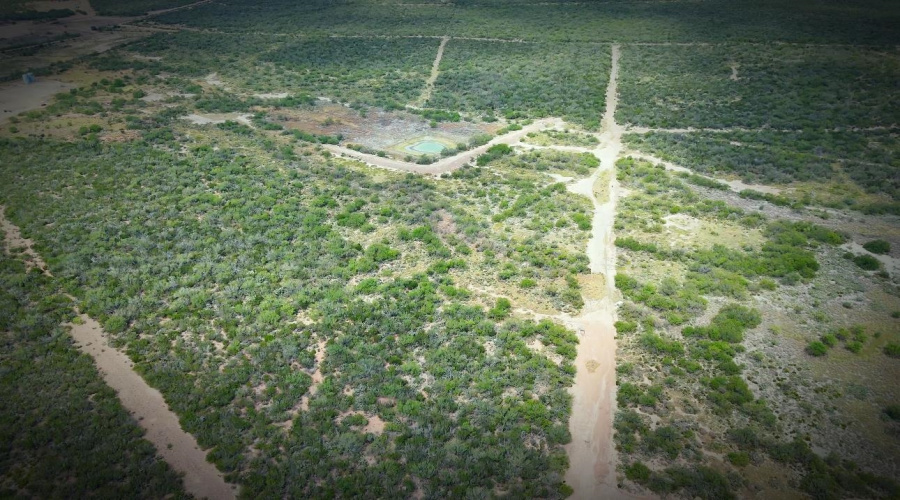 ABST 1033 SUR 13, Laredo, Texas 78043, ,Land,For Sale,ABST 1033 SUR 13,20254858