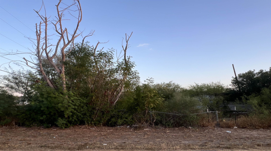 916 Villa Ave, Zapata, Texas 78076, ,Land,For Sale,916 Villa Ave,20254864