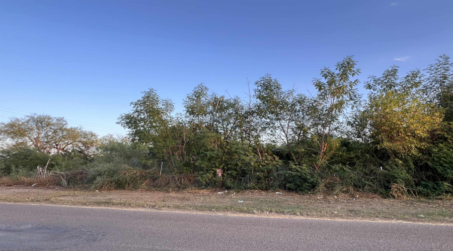 916 Villa Ave, Zapata, Texas 78076, ,Land,For Sale,916 Villa Ave,20254864