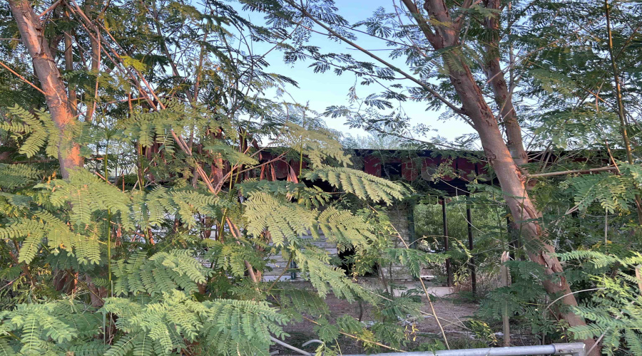 916 Villa Ave, Zapata, Texas 78076, ,Land,For Sale,916 Villa Ave,20254864