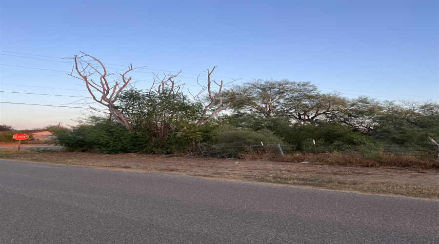 916 Villa Ave, Zapata, Texas 78076, ,Land,For Sale,916 Villa Ave,20254864