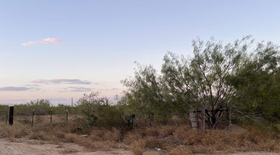 3203 Las Cruces Dr, Zapata, Texas 78076, ,Land,For Sale,3203 Las Cruces Dr,20254867