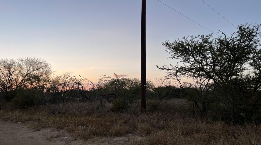 3203 Las Cruces Dr, Zapata, Texas 78076, ,Land,For Sale,3203 Las Cruces Dr,20254867