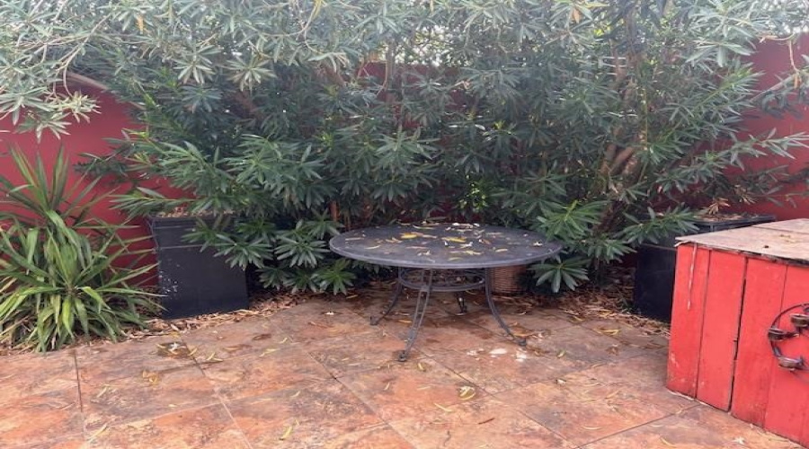 510 Shiloh Dr, LAREDO, Texas 78045-6703, 3 Bedrooms Bedrooms, 4 Rooms Rooms,2 BathroomsBathrooms,Residential,For Sale,510 Shiloh Dr,20254895