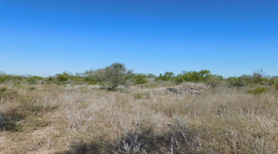 653 S U.S. Hwy 59, GeorgeWest, Texas 78022, ,Land,For Sale,653 S U.S. Hwy 59,20254922