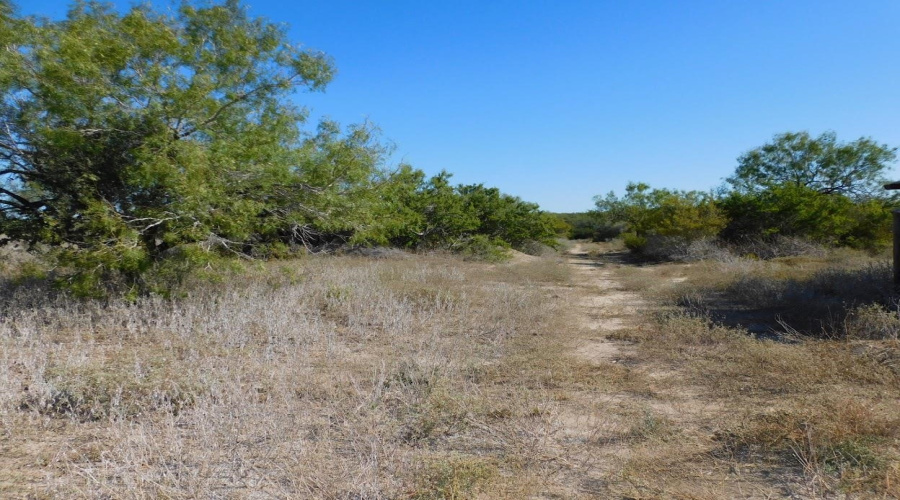653 S U.S. Hwy 59, GeorgeWest, Texas 78022, ,Land,For Sale,653 S U.S. Hwy 59,20254922
