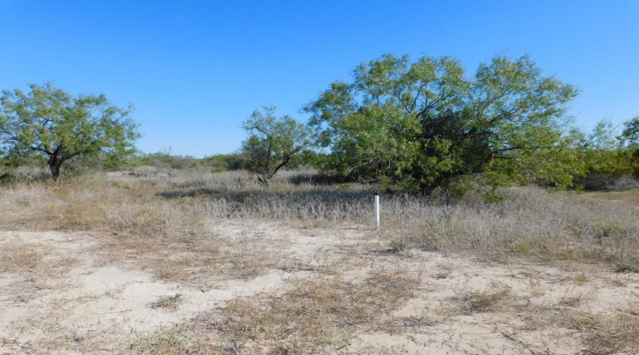 653 S U.S. Hwy 59, GeorgeWest, Texas 78022, ,Land,For Sale,653 S U.S. Hwy 59,20254922