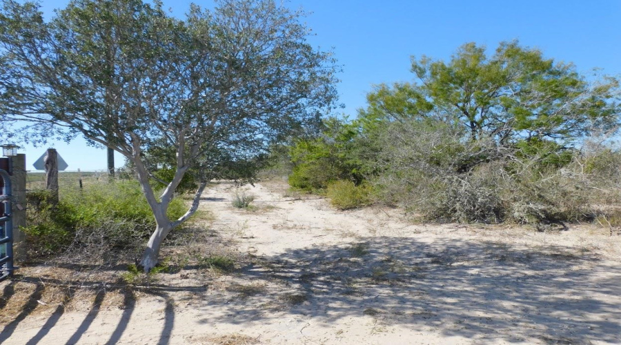 653 S U.S. Hwy 59, GeorgeWest, Texas 78022, ,Land,For Sale,653 S U.S. Hwy 59,20254922