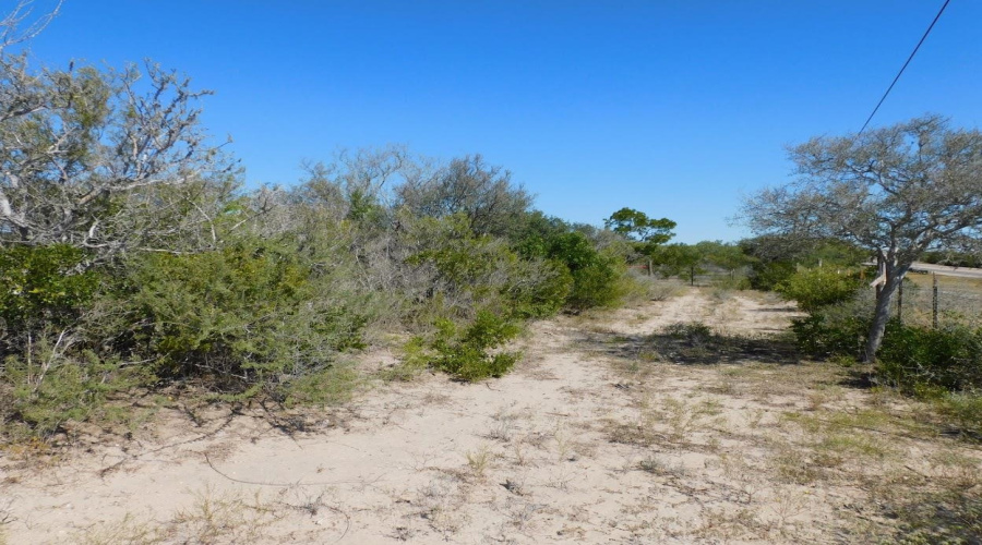 653 S U.S. Hwy 59, GeorgeWest, Texas 78022, ,Land,For Sale,653 S U.S. Hwy 59,20254922