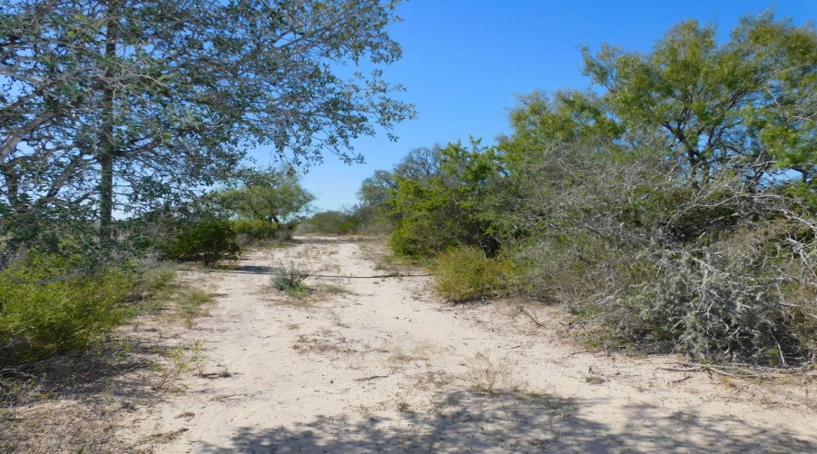 653 S U.S. Hwy 59, GeorgeWest, Texas 78022, ,Land,For Sale,653 S U.S. Hwy 59,20254922