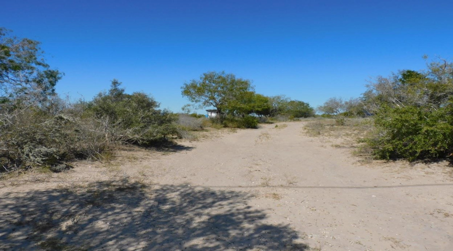 653 S U.S. Hwy 59, GeorgeWest, Texas 78022, ,Land,For Sale,653 S U.S. Hwy 59,20254922