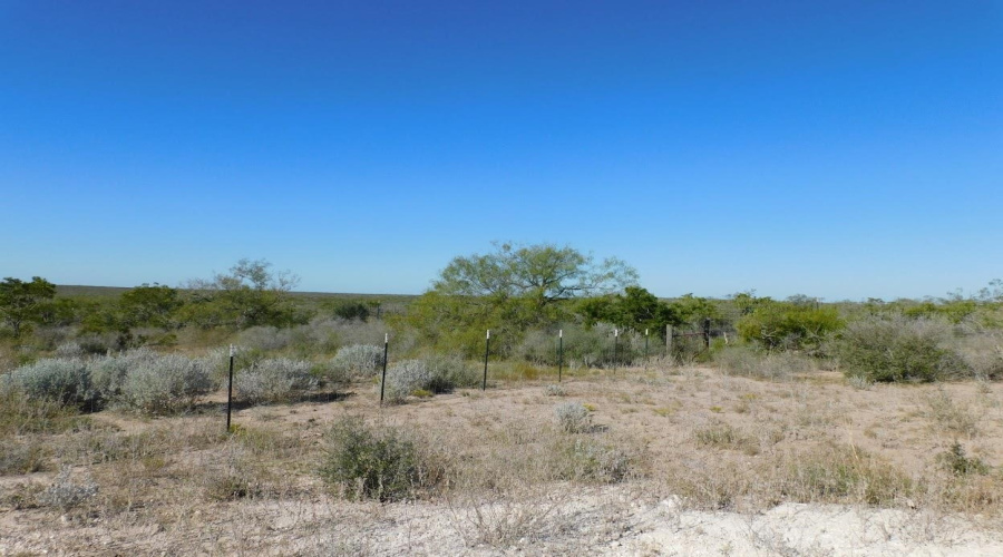 653 S U.S. Hwy 59, GeorgeWest, Texas 78022, ,Land,For Sale,653 S U.S. Hwy 59,20254922