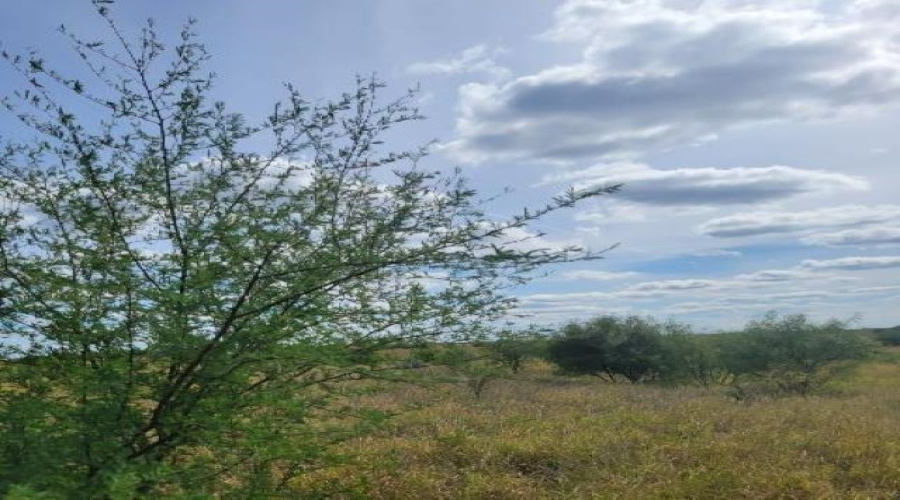 0 N U.S. Hwy 83, Laredo, Texas 78045, ,Land,For Sale,0 N U.S. Hwy 83,20254926