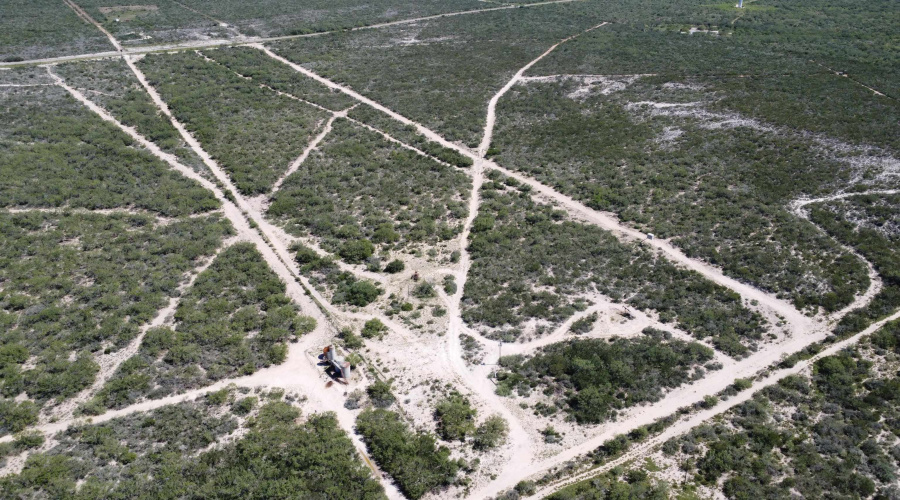 000 ABST 1393 SUR 592, Mirando City, Texas 78369, ,Land,For Sale,000 ABST 1393 SUR 592,20251392