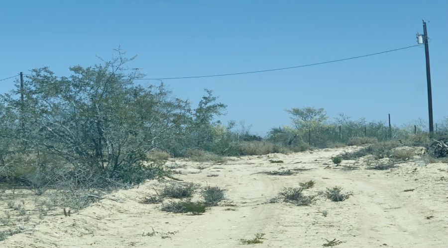 3459 N U.S. Hwy 83, Zapata, Texas 78076, ,Land,For Sale,3459 N U.S. Hwy 83,20254952