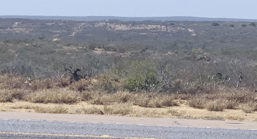 3459 N U.S. Hwy 83, Zapata, Texas 78076, ,Land,For Sale,3459 N U.S. Hwy 83,20254952 3459 N U.S. Hwy 83, Zapata, Texas 78076, ,Land,For Sale,3459 N U.S. Hwy 83,20254952