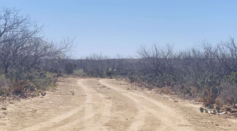 3459 N U.S. Hwy 83, Zapata, Texas 78076, ,Land,For Sale,3459 N U.S. Hwy 83,20254952